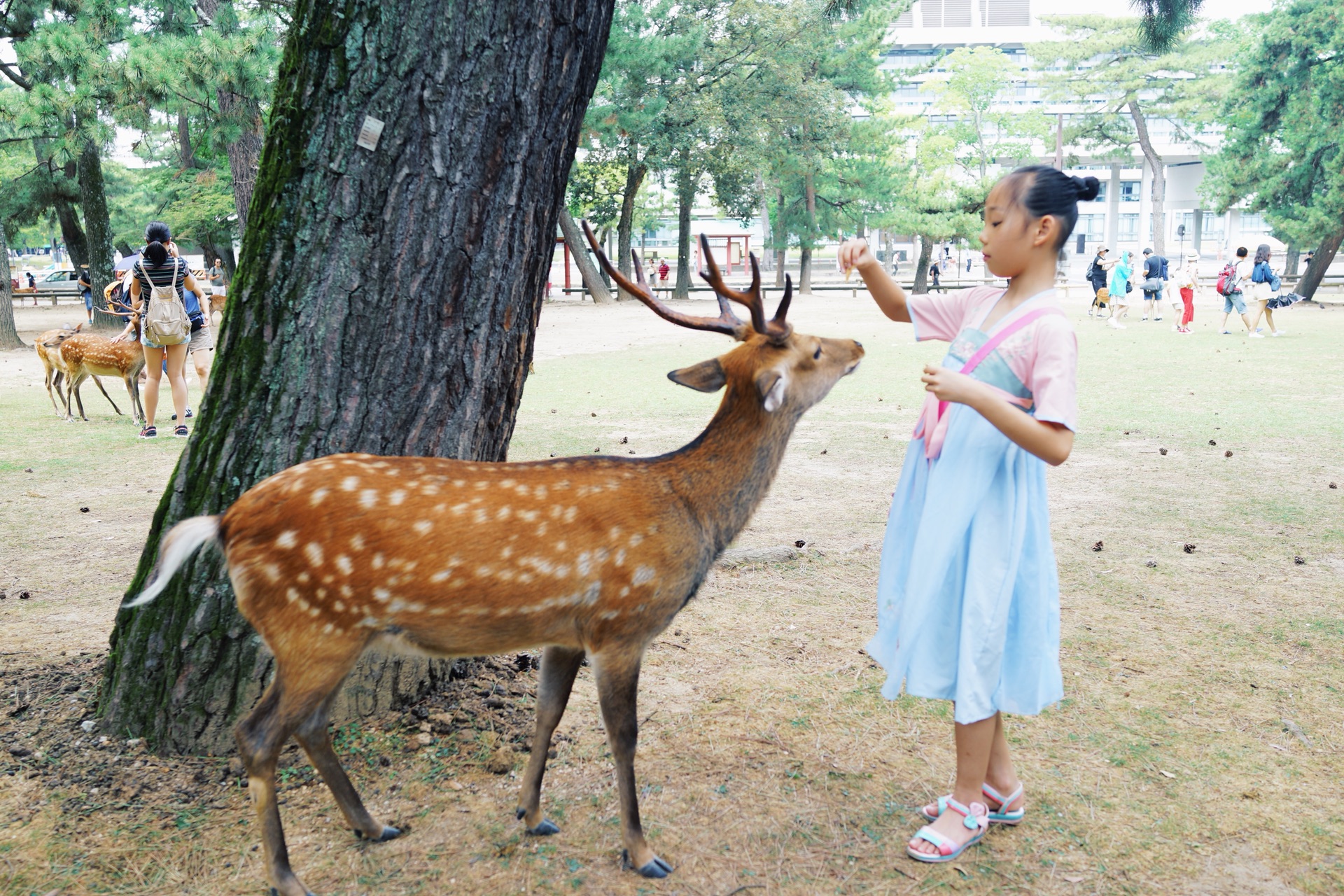 日本自助遊攻略