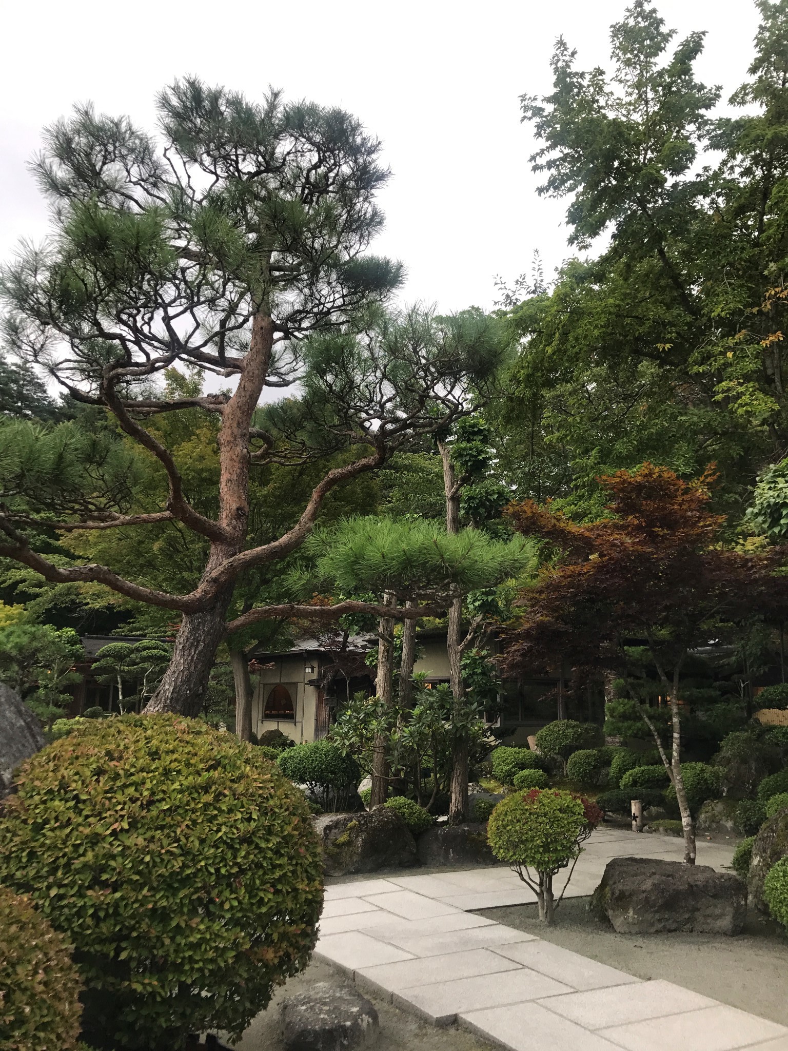 富士山自助遊攻略