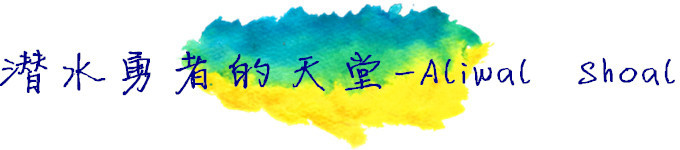 潜水勇者的天堂-Aliwal Shoal 潜水勇者的天堂-Aliwal Shoal