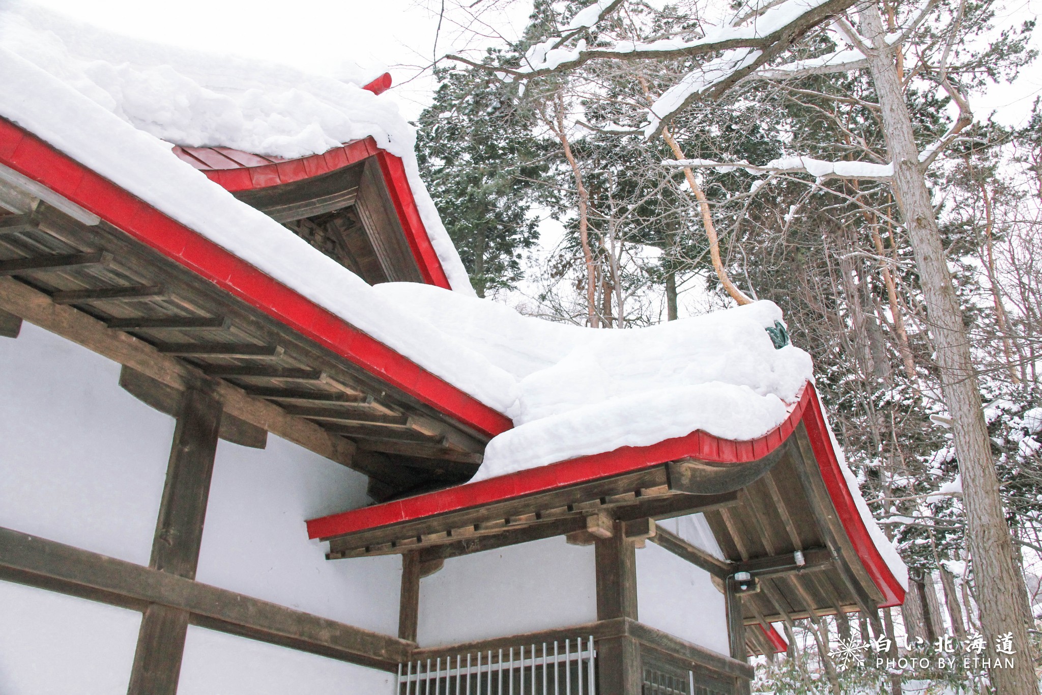 北海道自助遊攻略