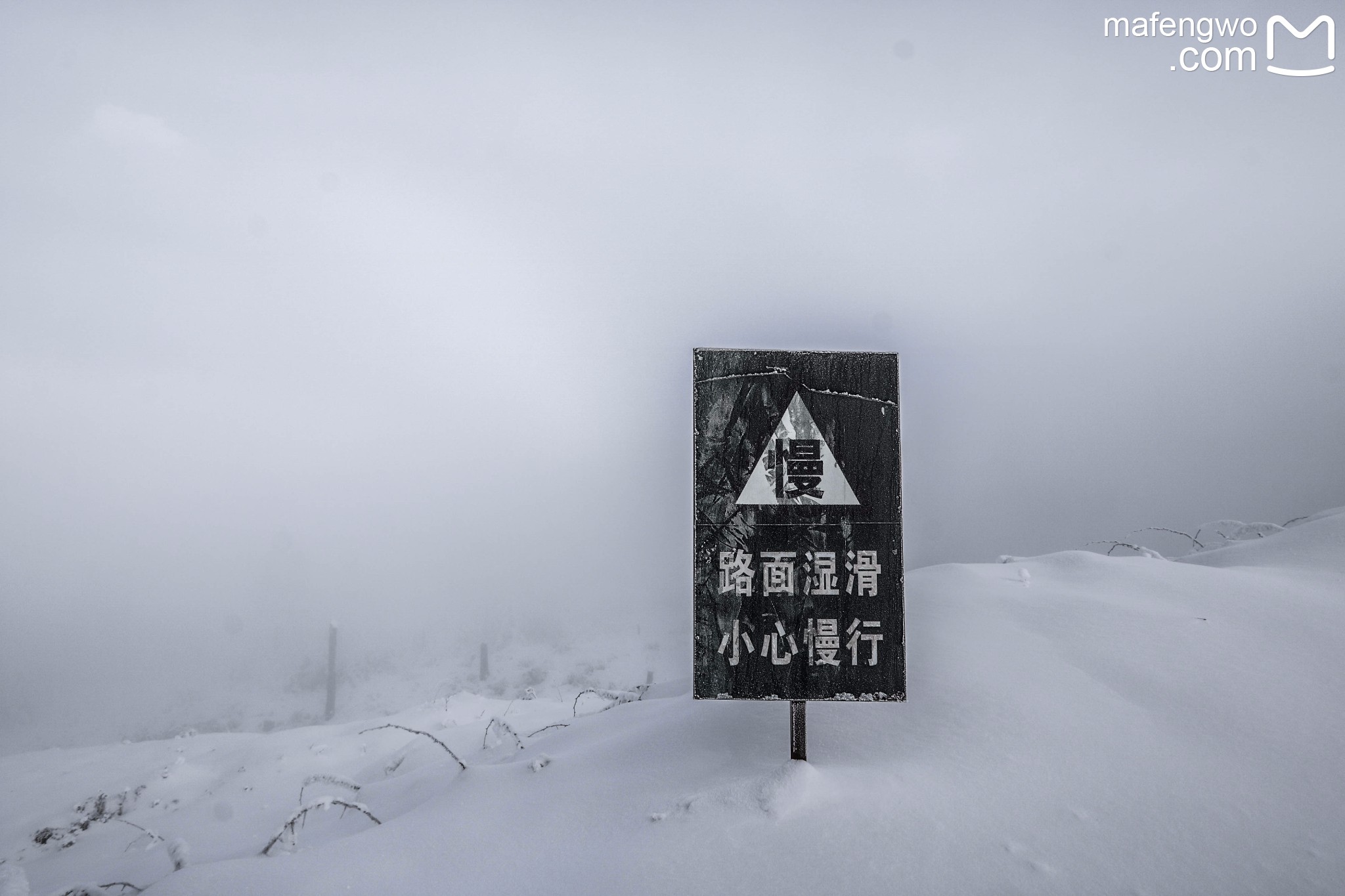 牛背山自助遊攻略