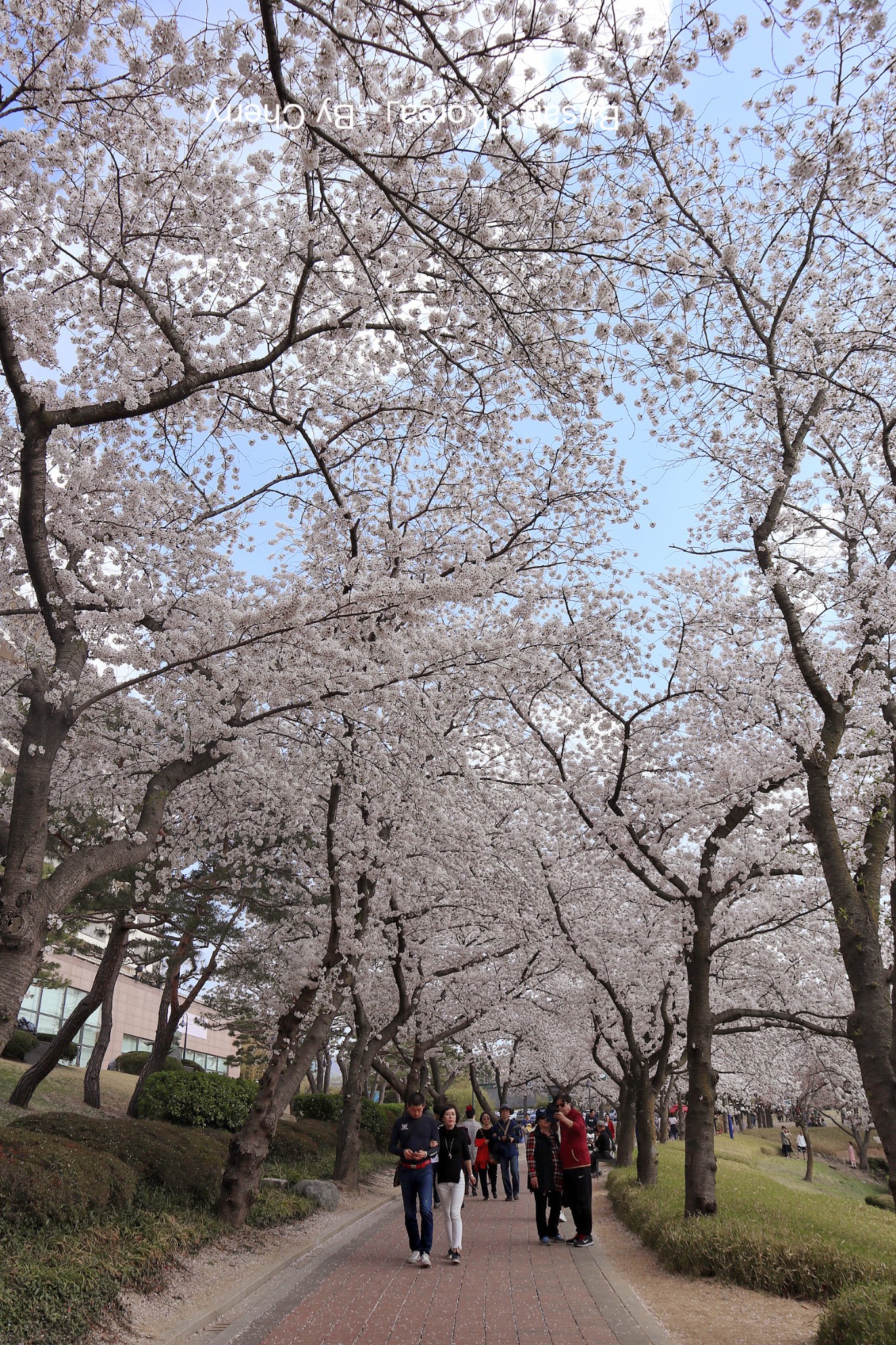 釜山自助遊攻略