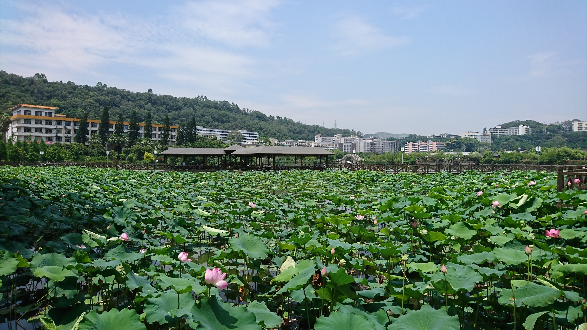 福州自助遊攻略