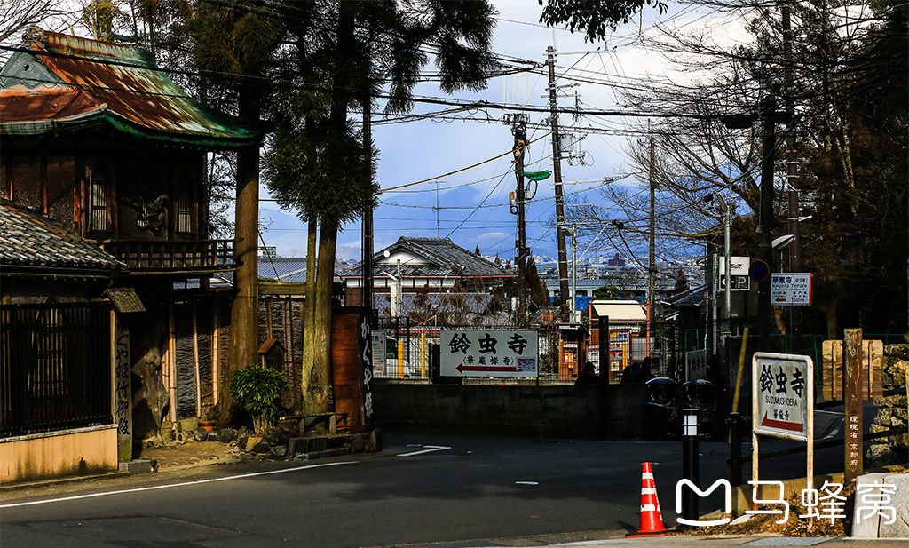 京都自助遊攻略