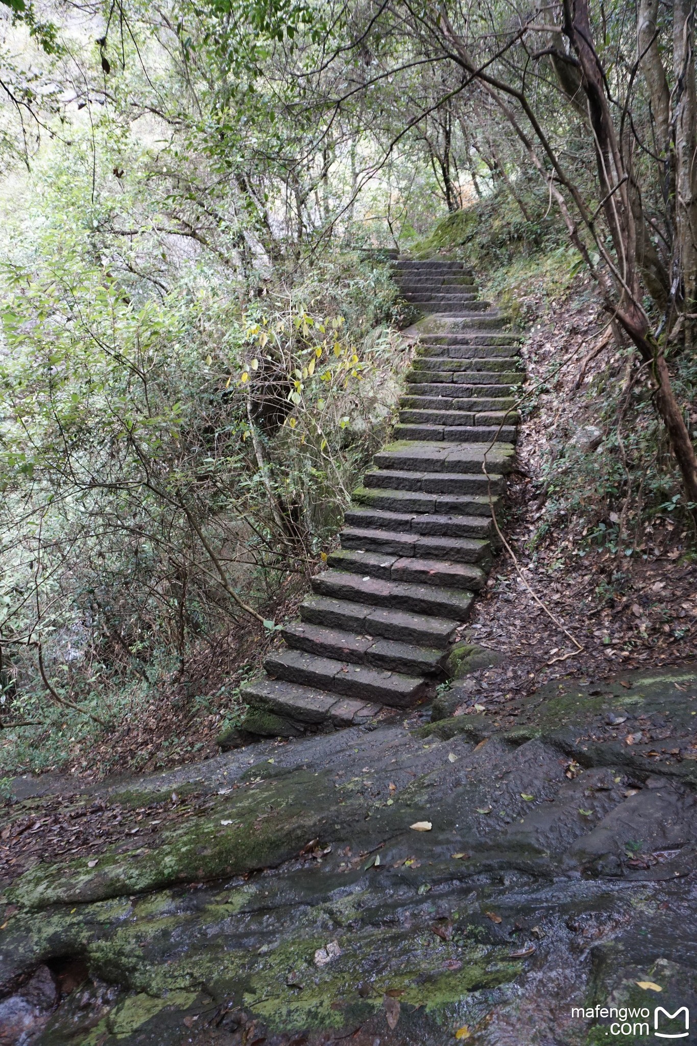 武夷山自助遊攻略