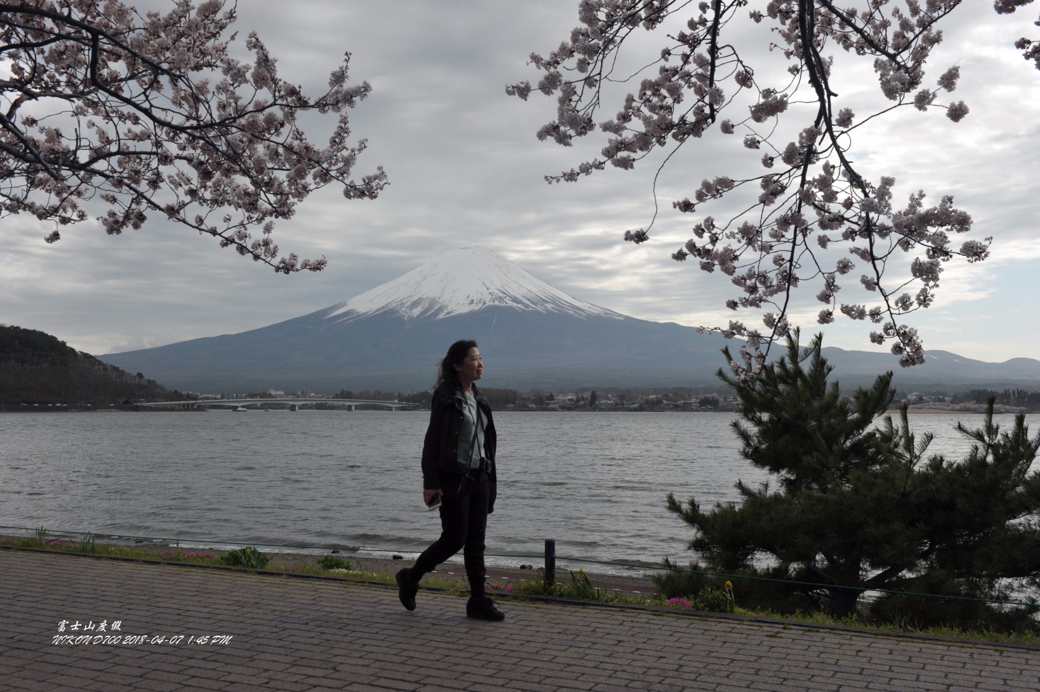 富士山自助遊攻略