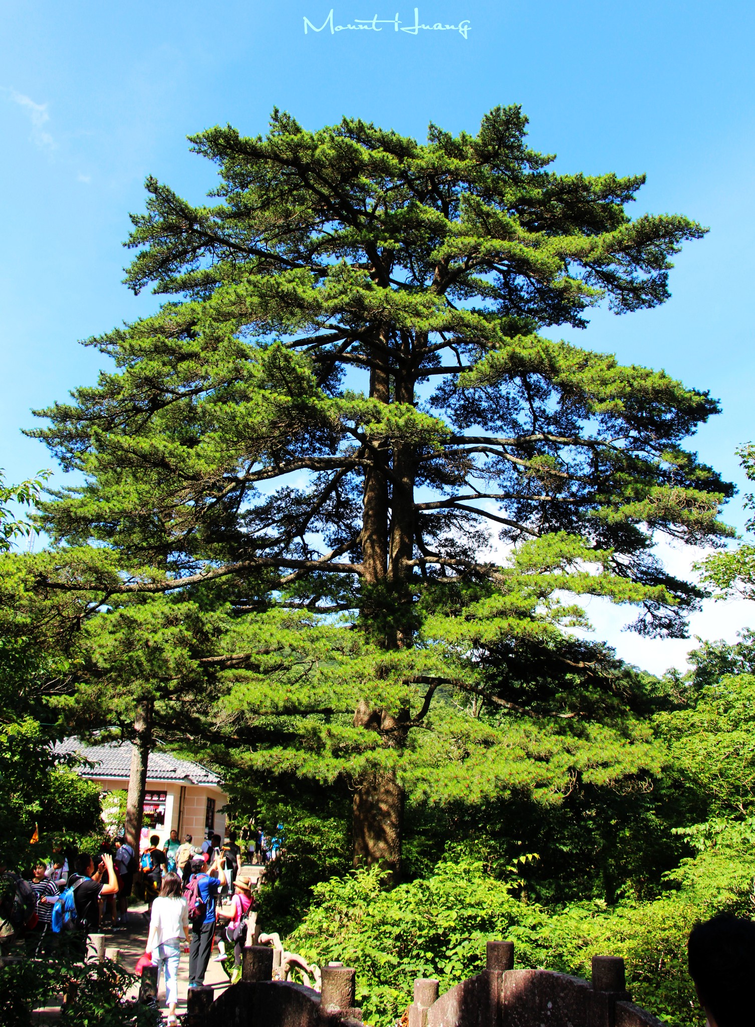 黃山自助遊攻略