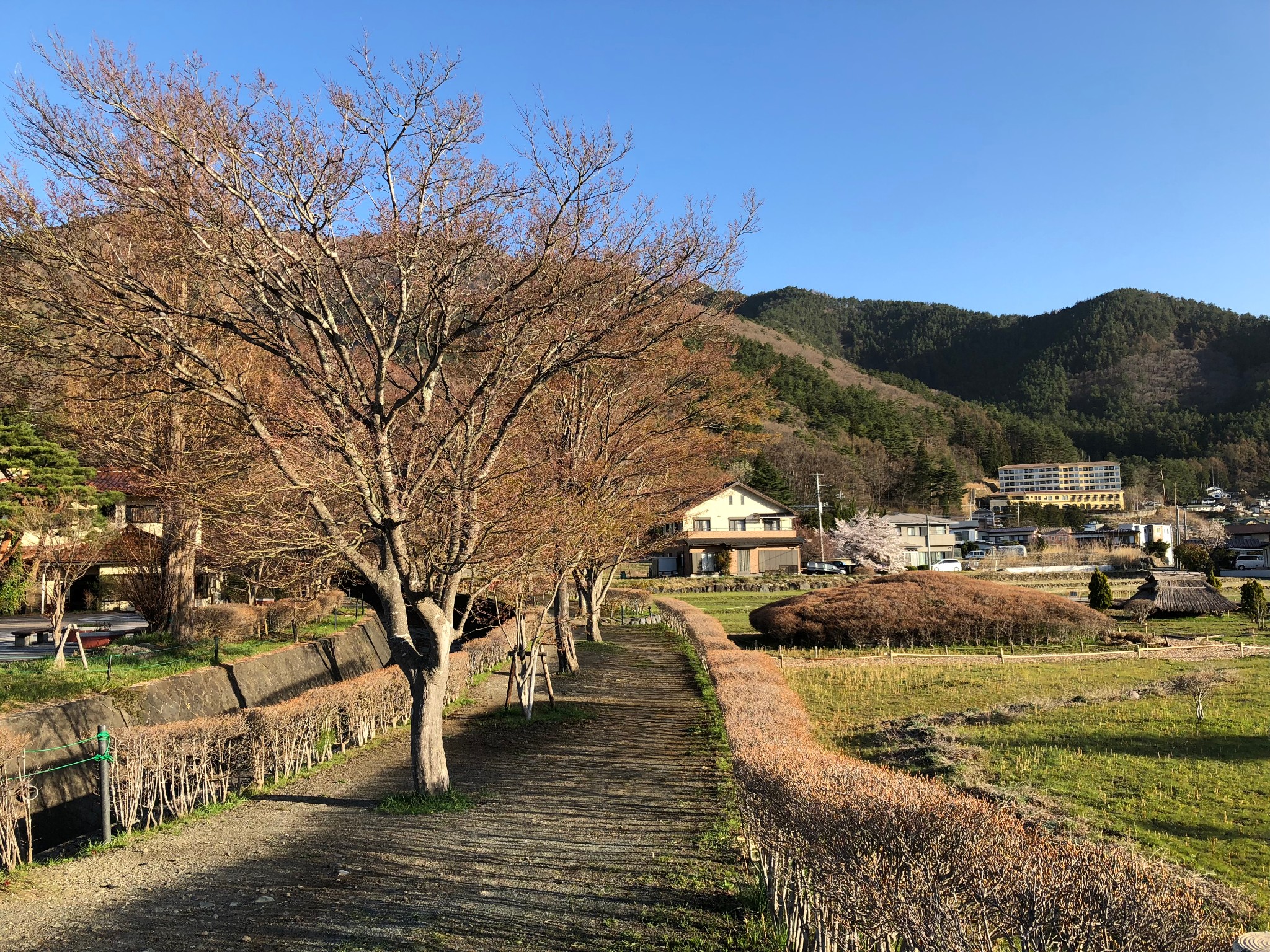 富士山自助遊攻略