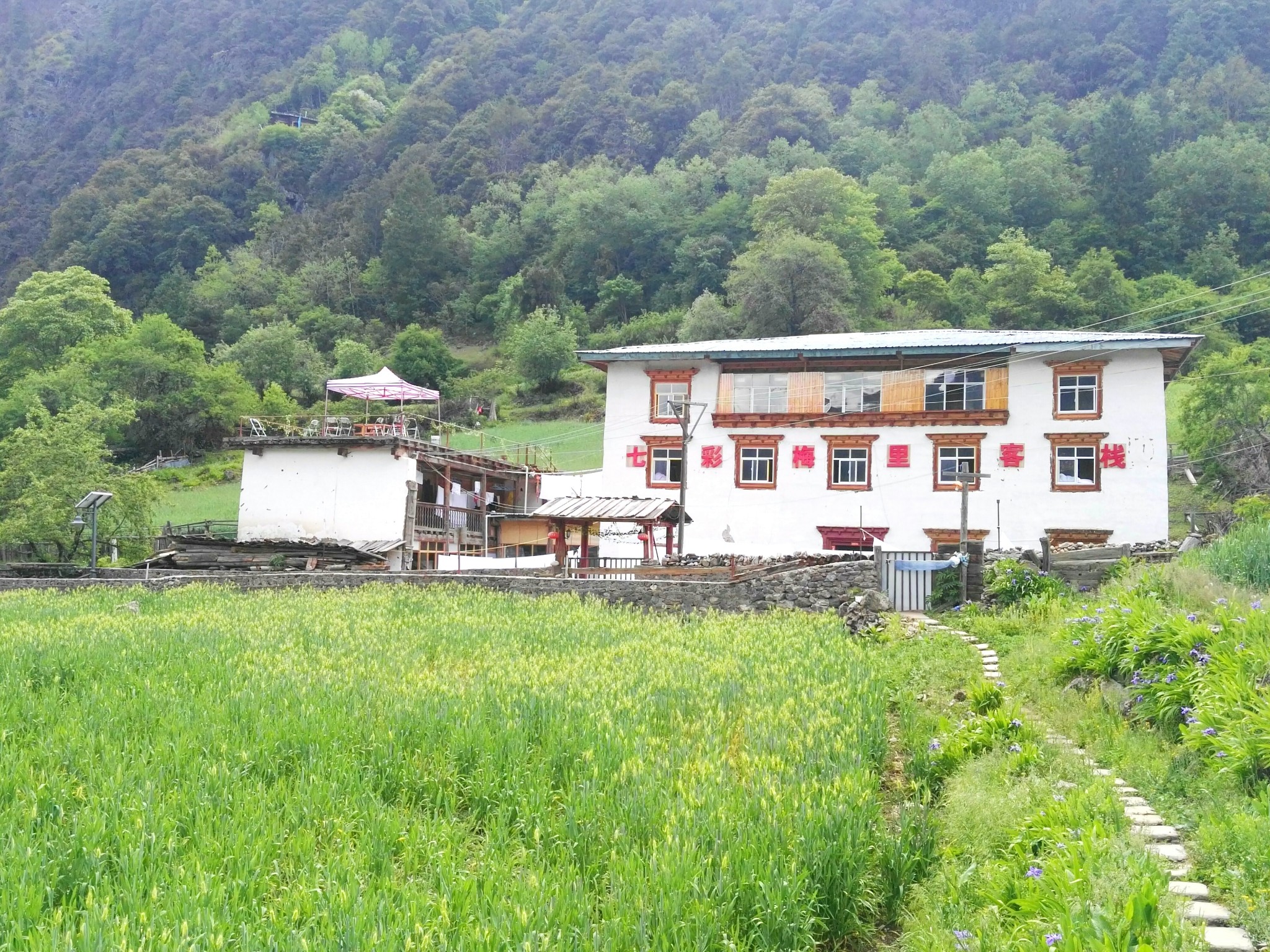 雨崩自助遊攻略