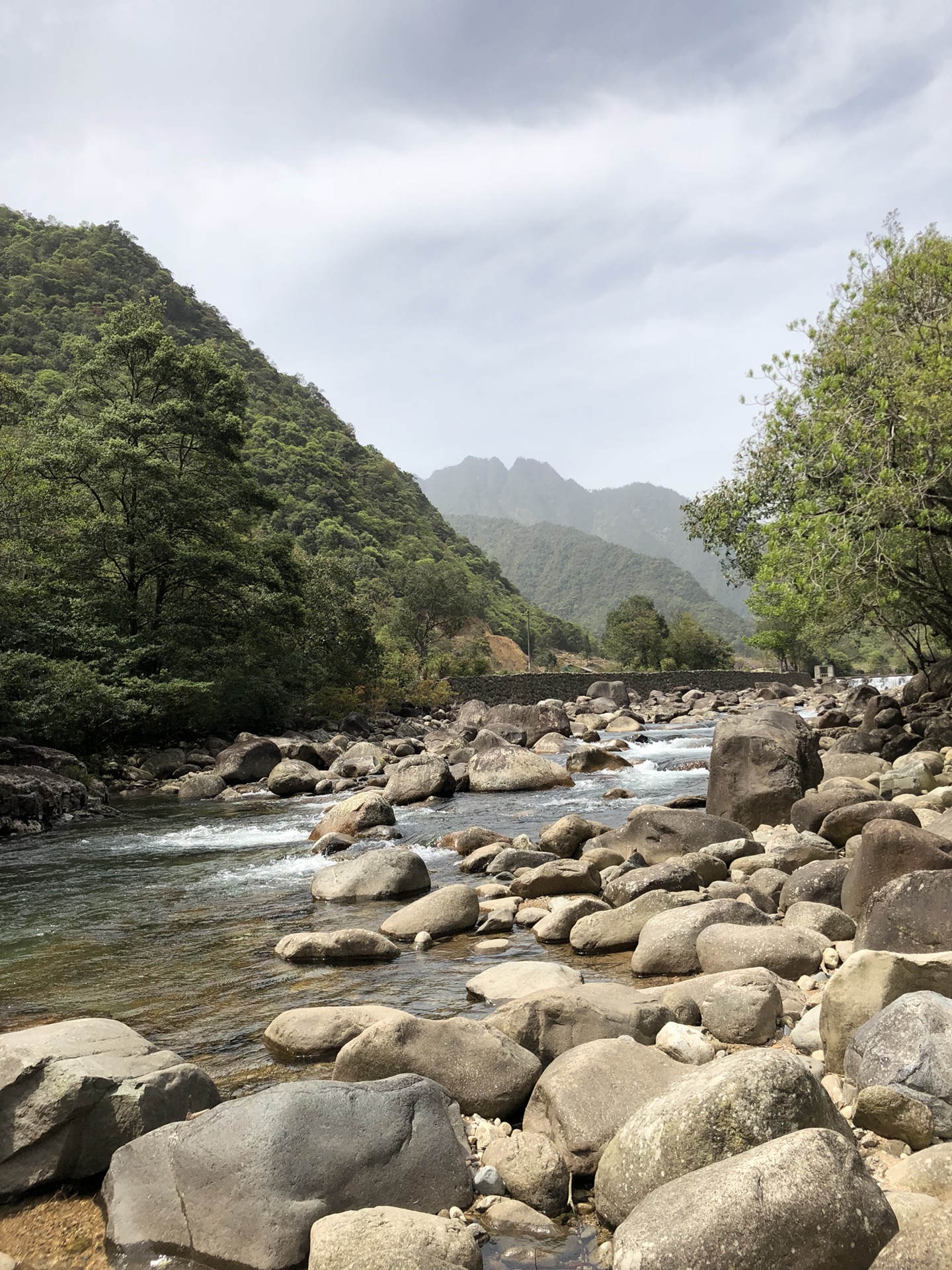 武夷山自助遊攻略