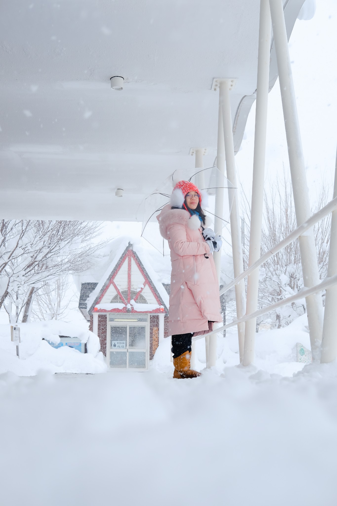 北海道自助遊攻略