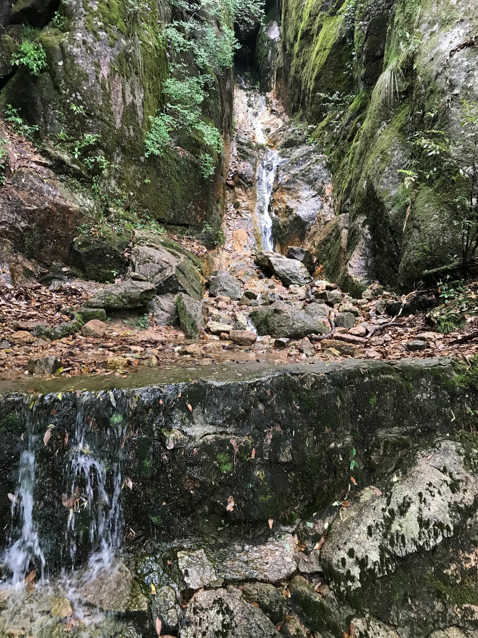 三清山自助遊攻略