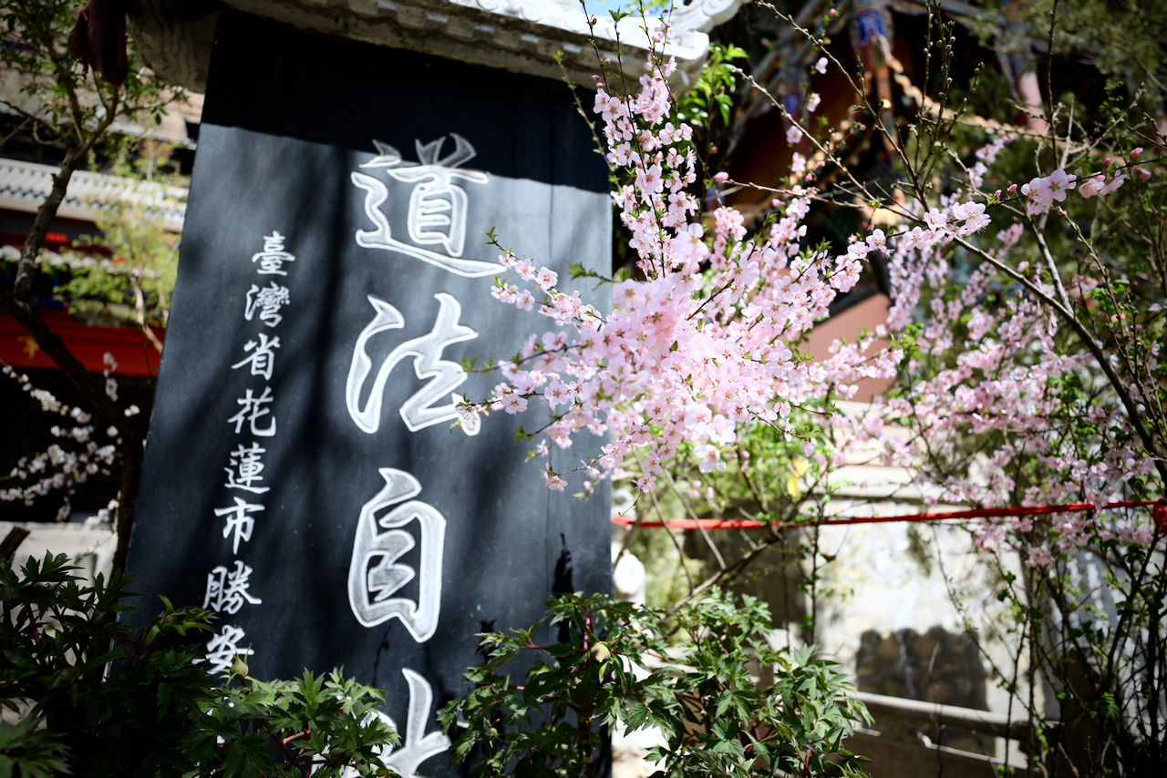 青海湖自助遊攻略