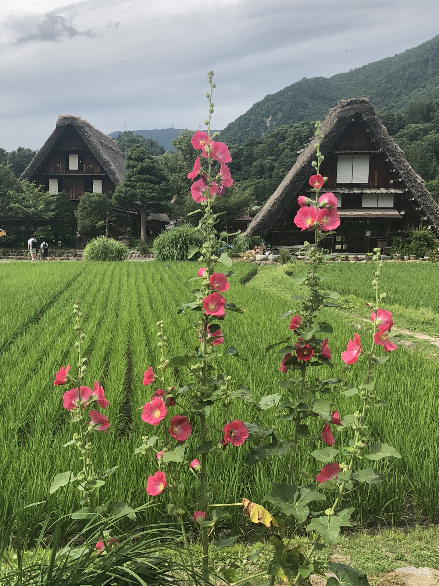 名古屋自助遊攻略