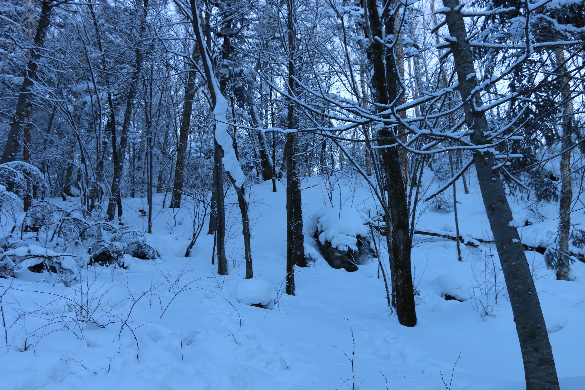 雪鄉自助遊攻略