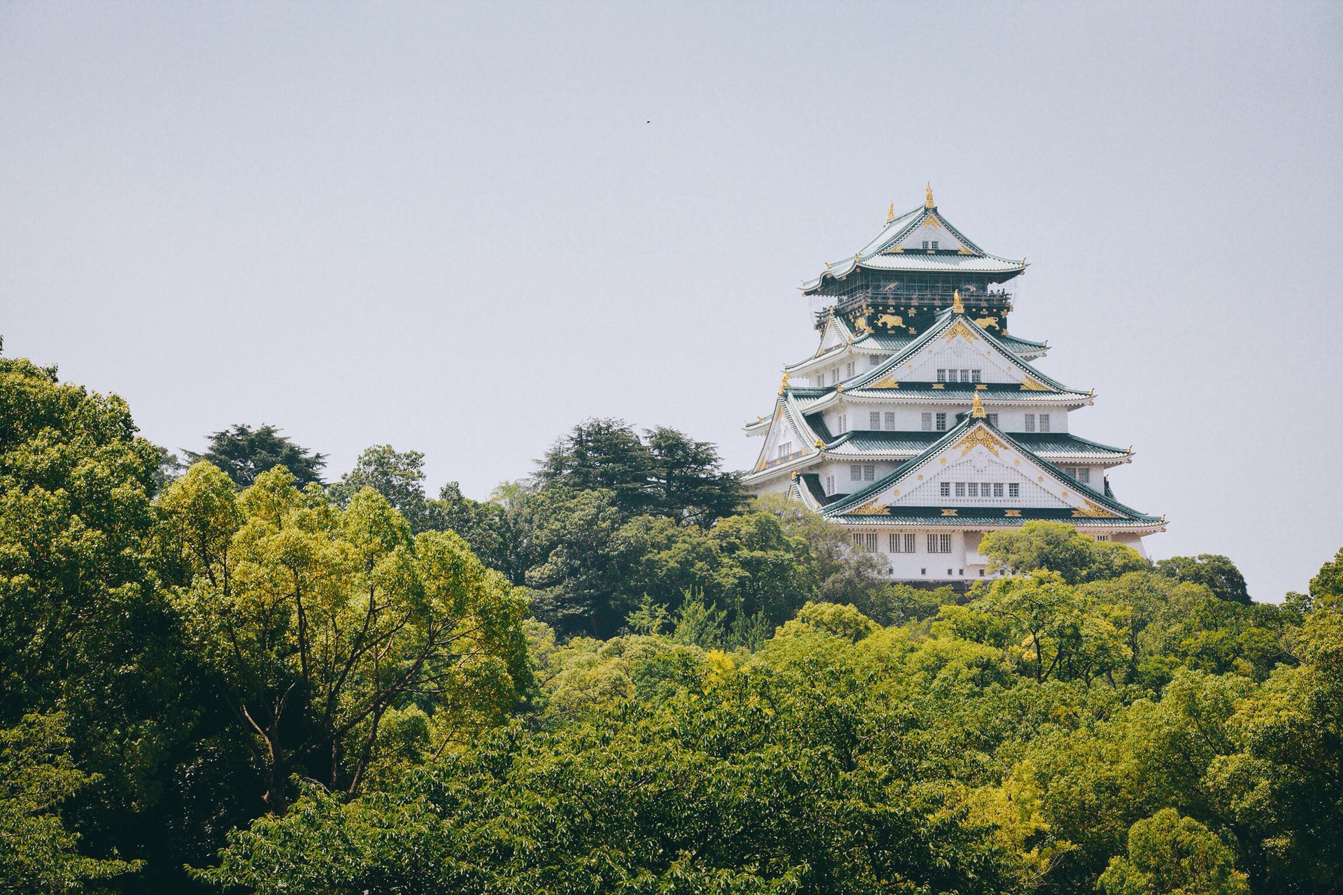 日本自助遊攻略