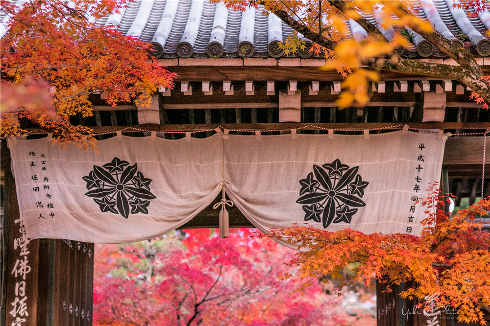 京都自助遊攻略