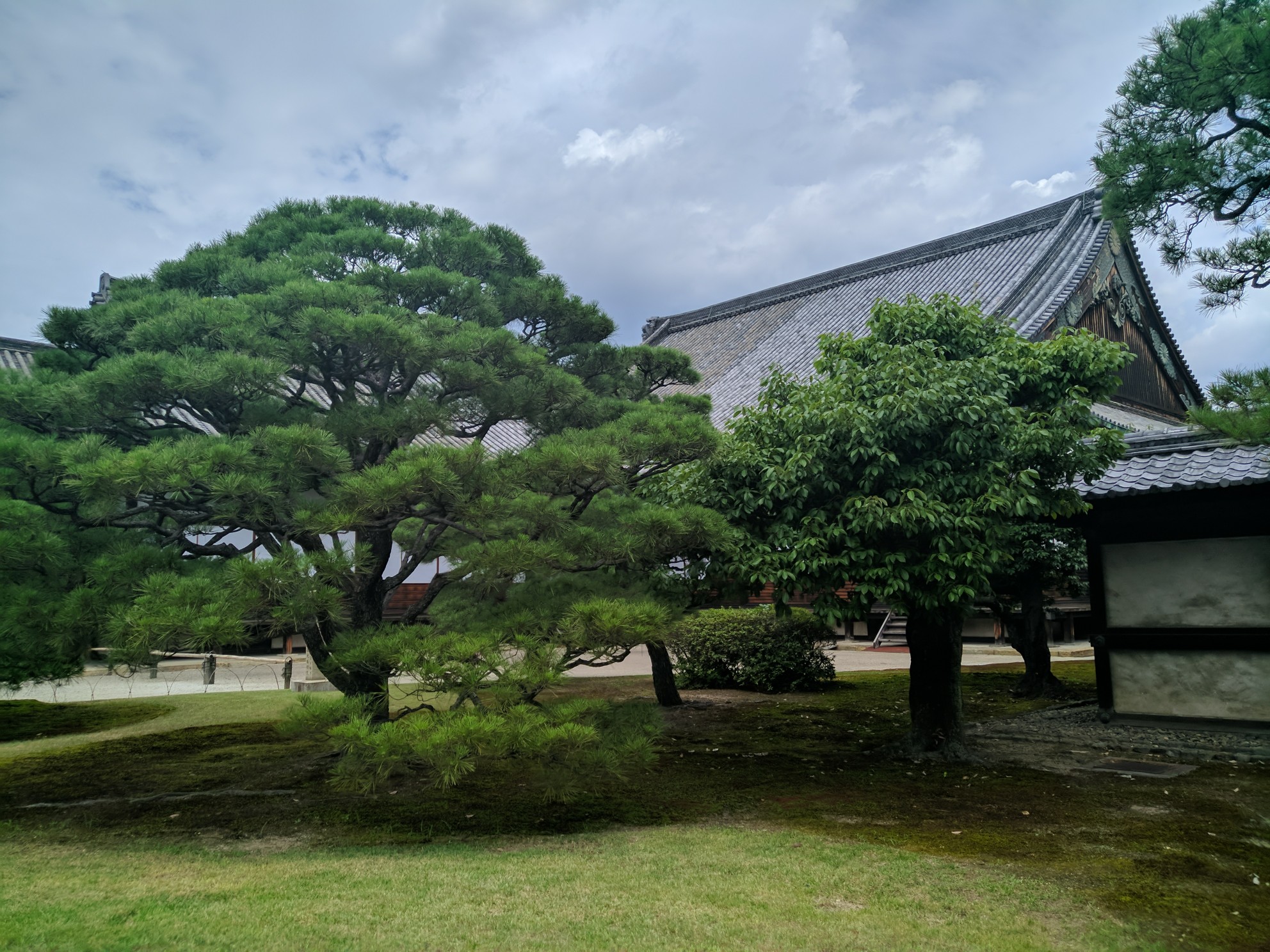 京都自助遊攻略