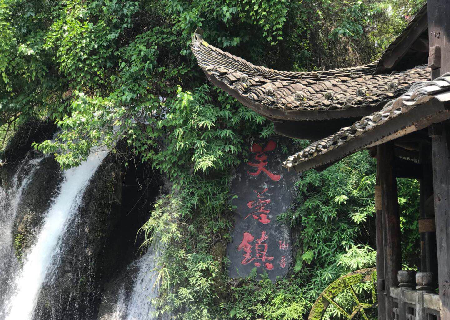 幼幼论坛mmp高清图片