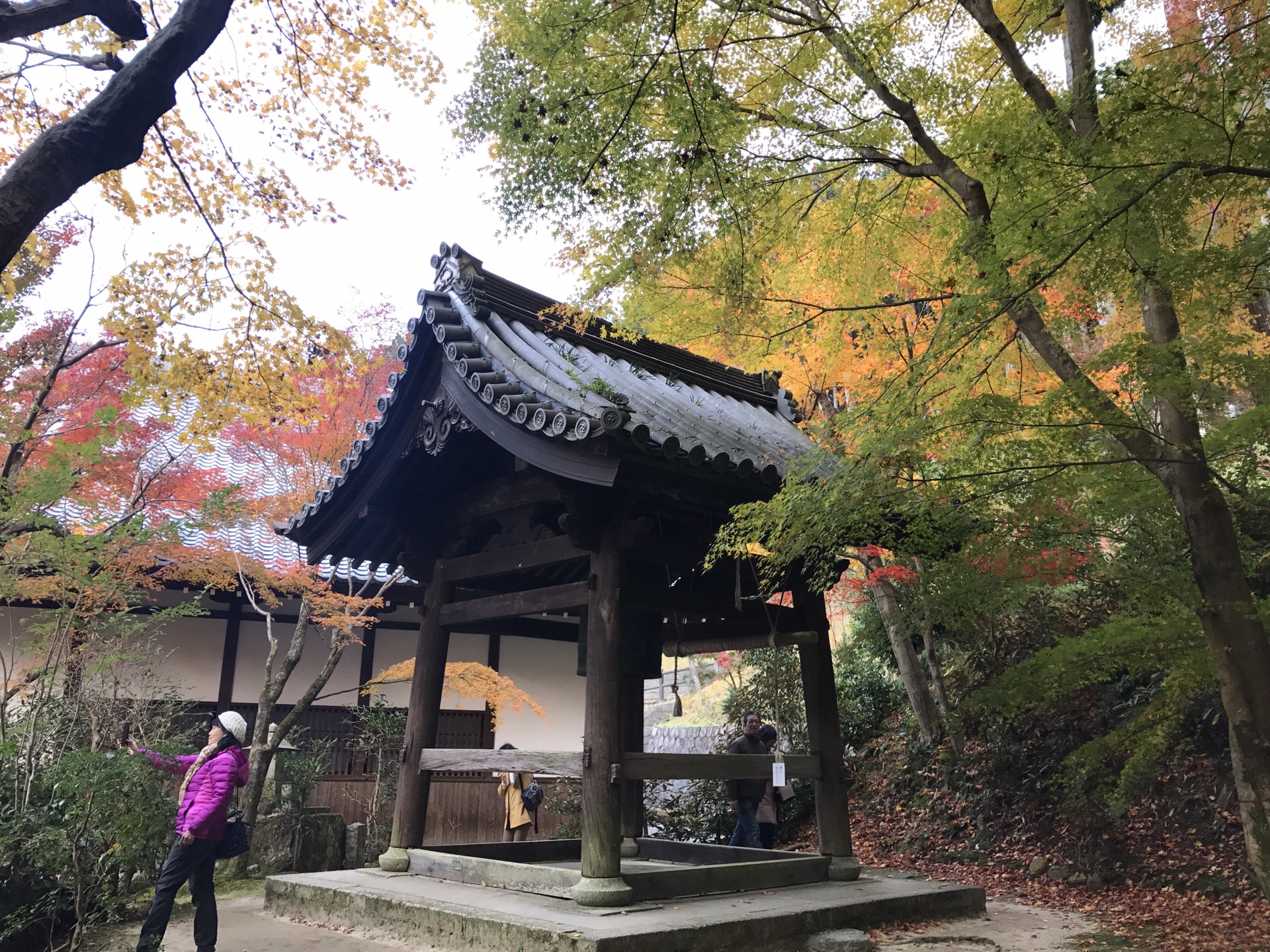 京都自助遊攻略