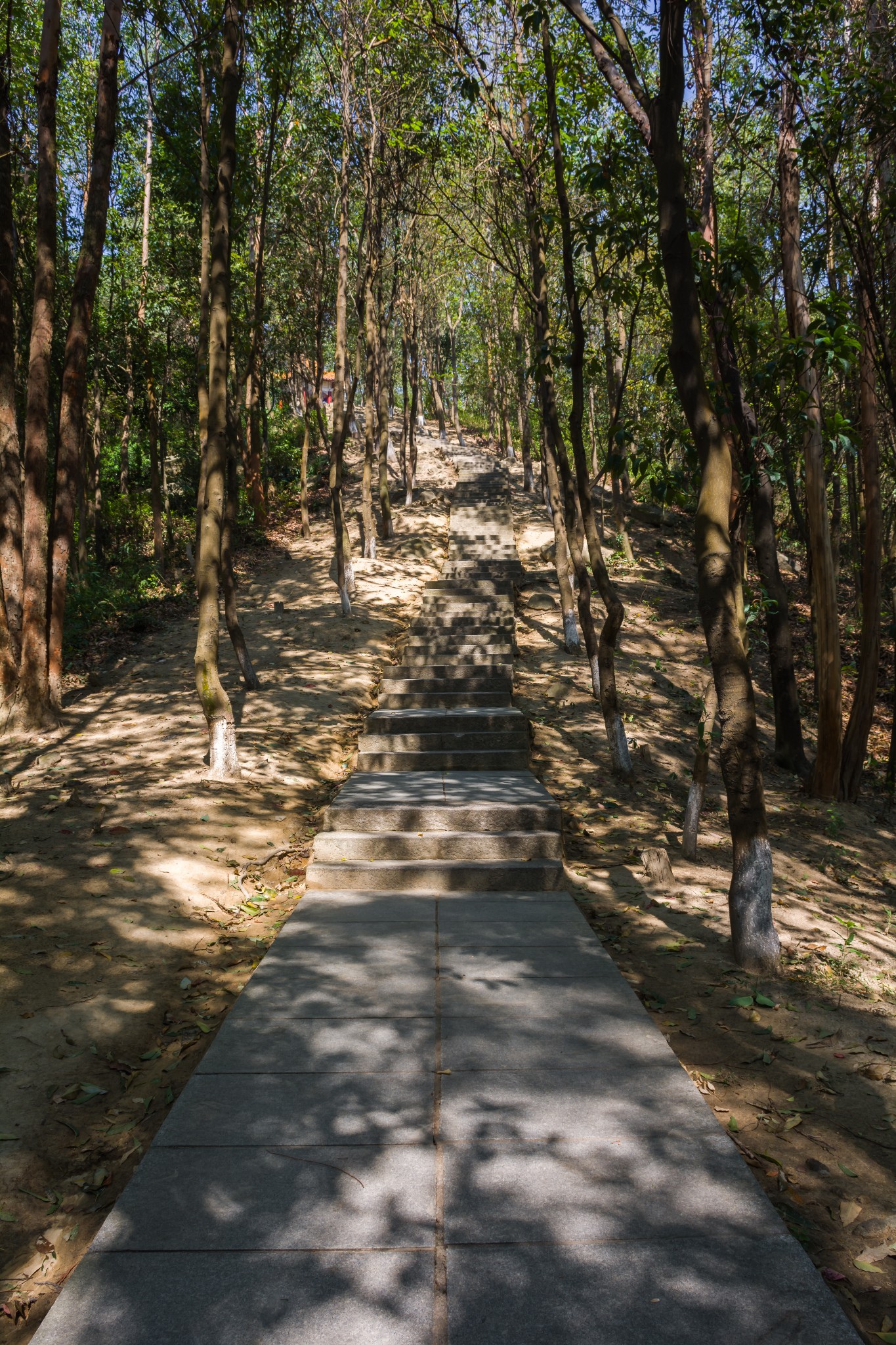 洪田火山郊野公园