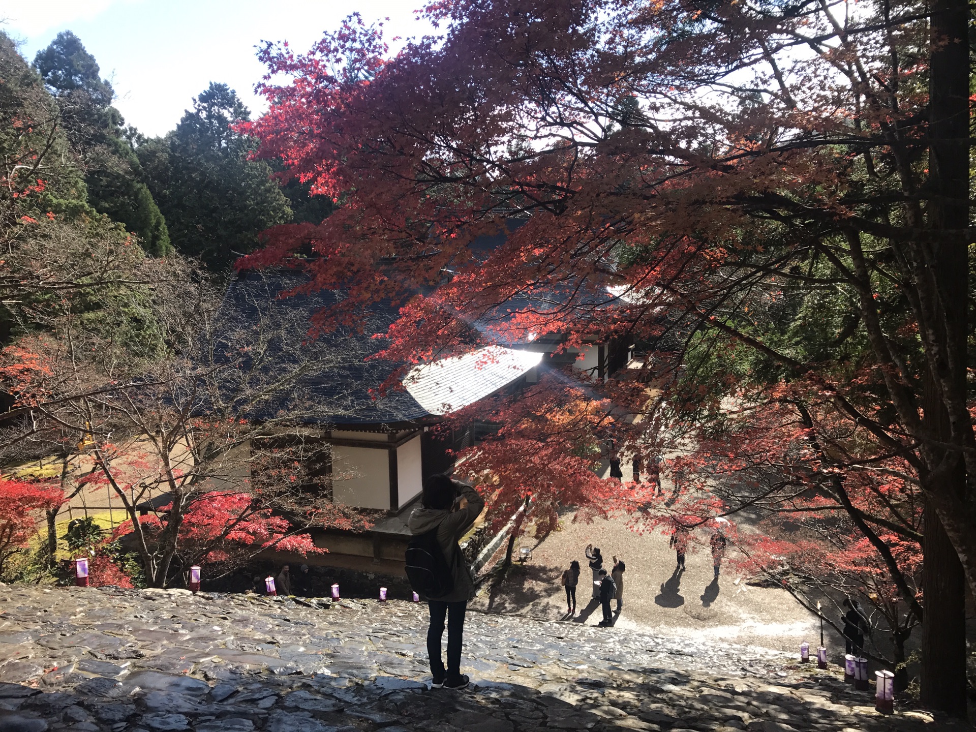 京都自助遊攻略