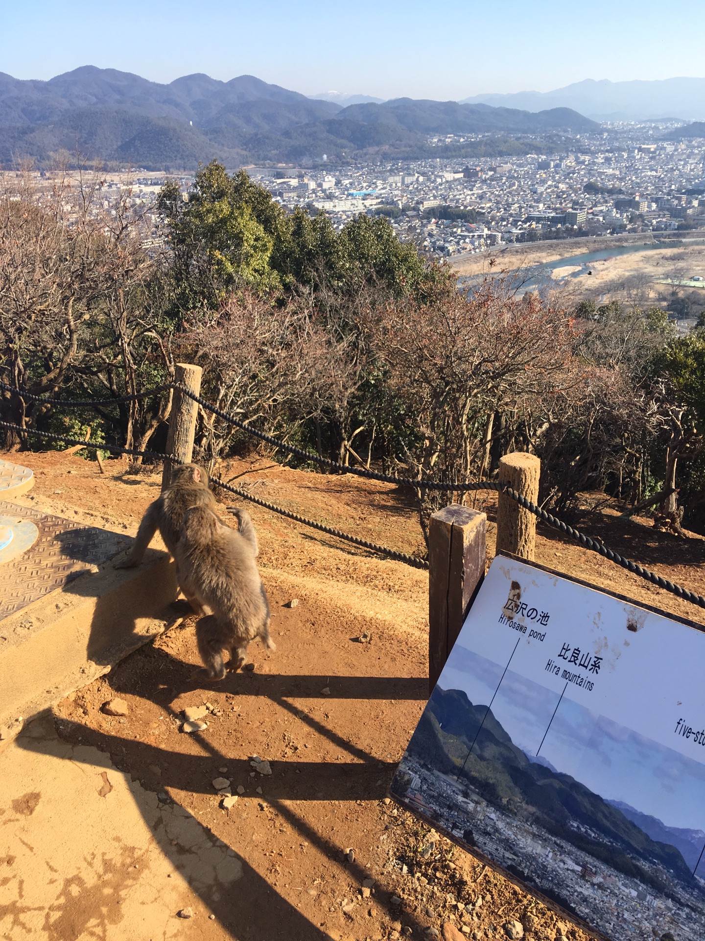 名古屋自助遊攻略