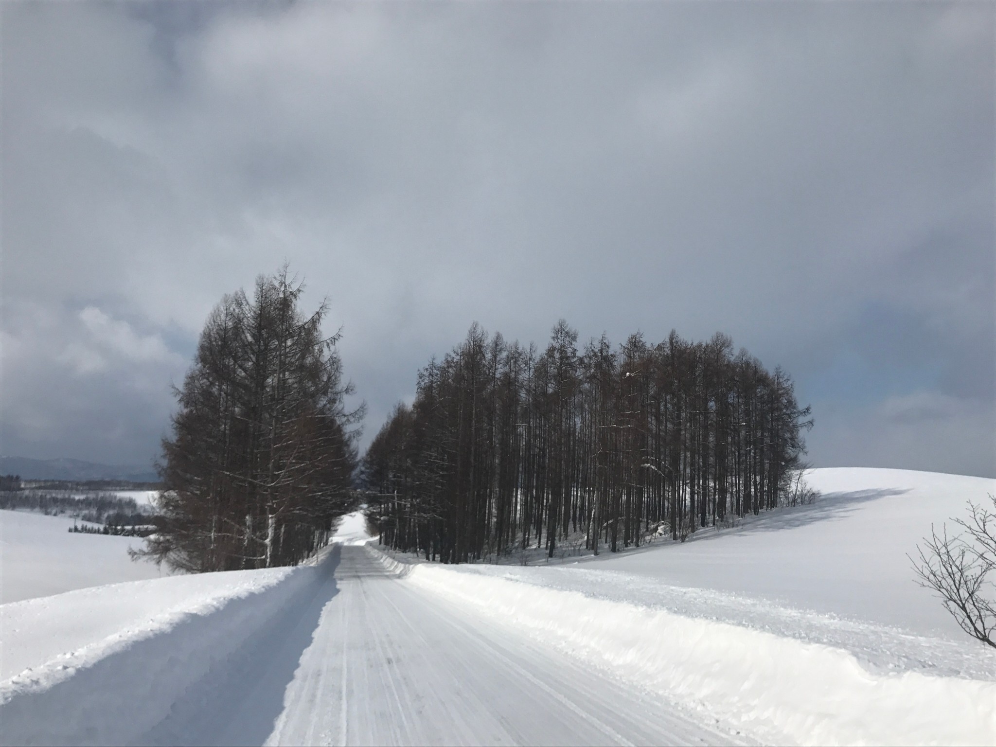 北海道自助遊攻略