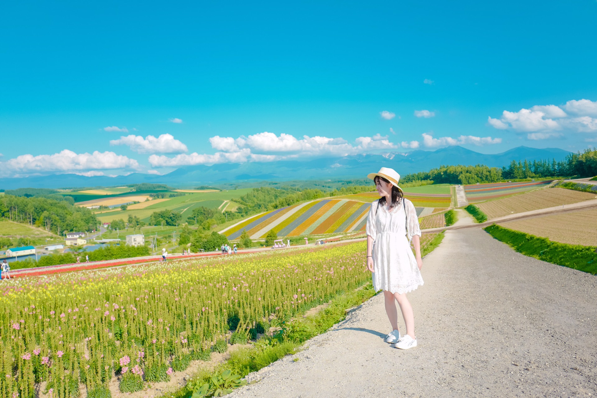 北海道自助遊攻略