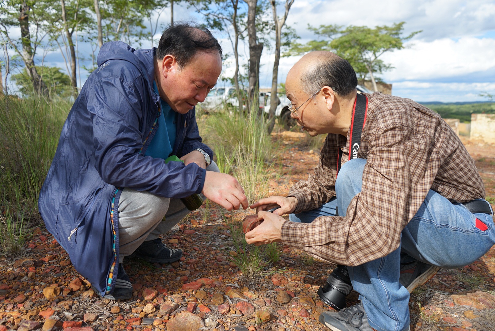 津巴布韋自助遊攻略