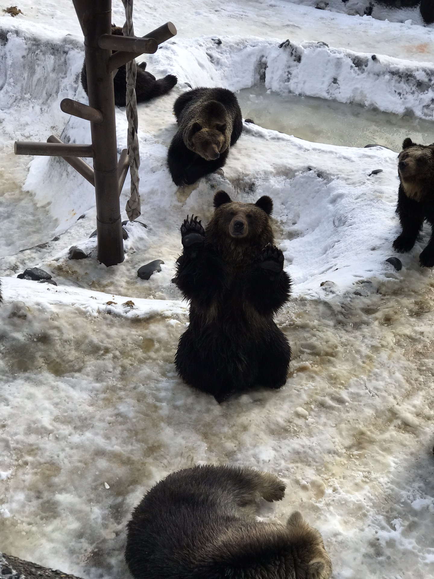 北海道自助遊攻略