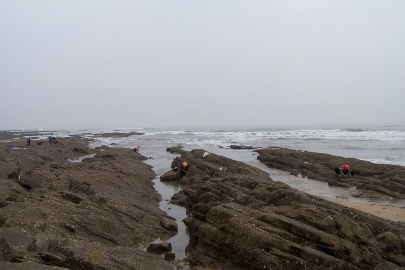 日照刘家湾赶海园景区电子票