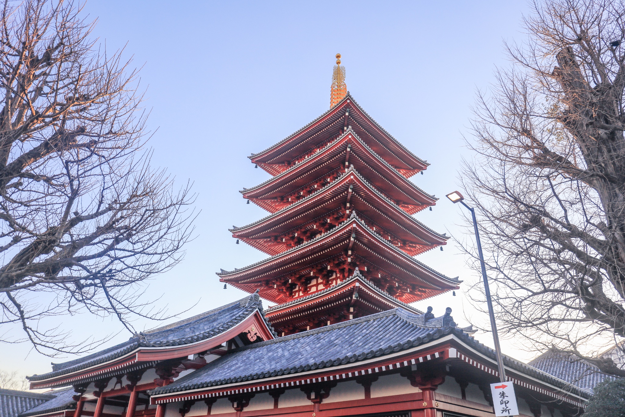 途牛首发 蛙系旅行再渡霓虹 随遇而安 内含药妆店购物指南 东京 攻略游记 途牛