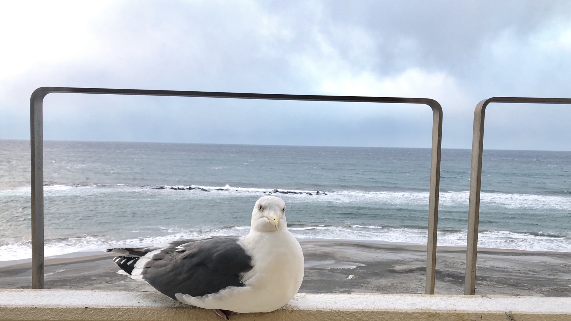 北海道自助遊攻略