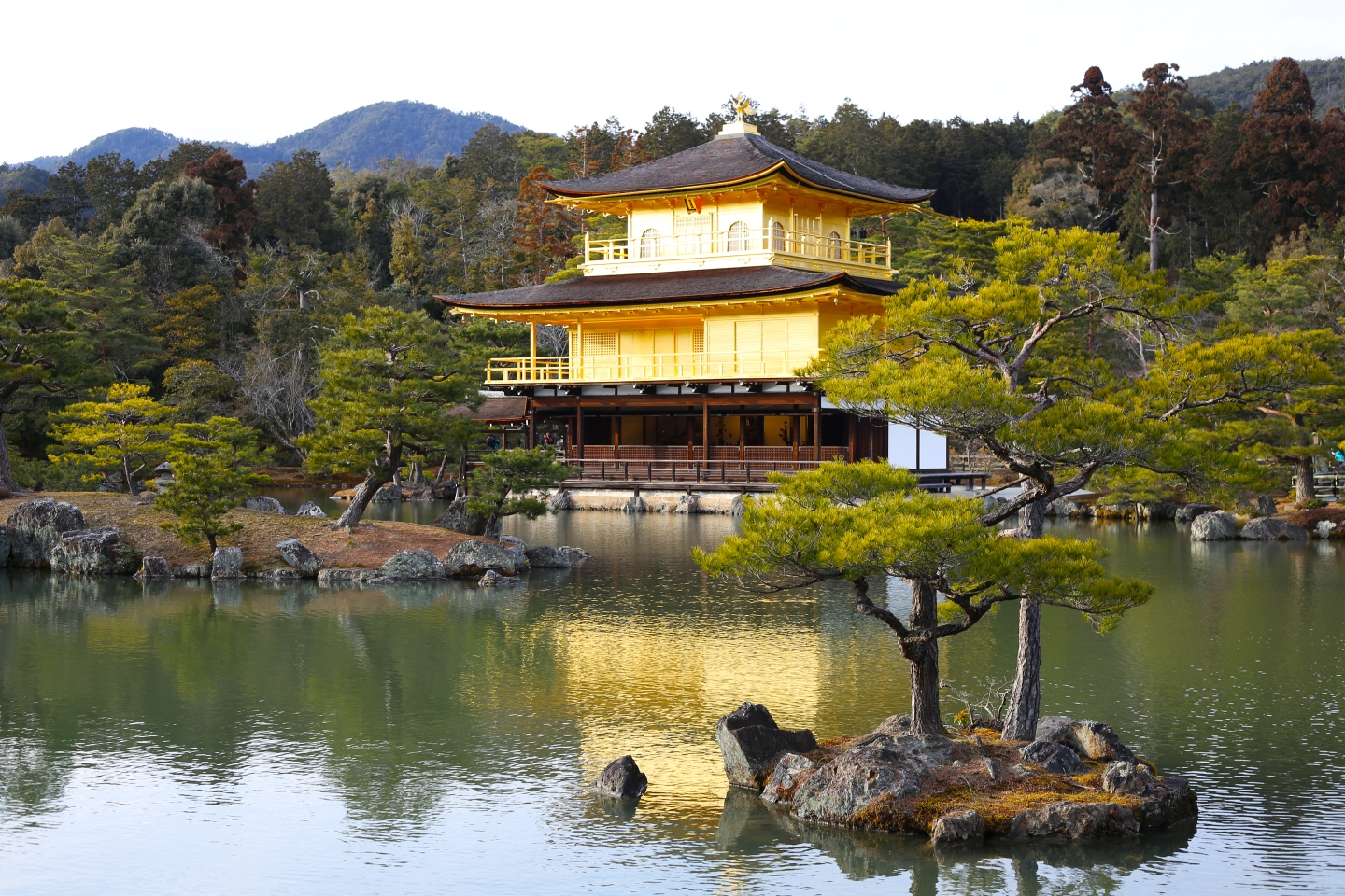 夕卜来人口_山本夕力卜图片(3)
