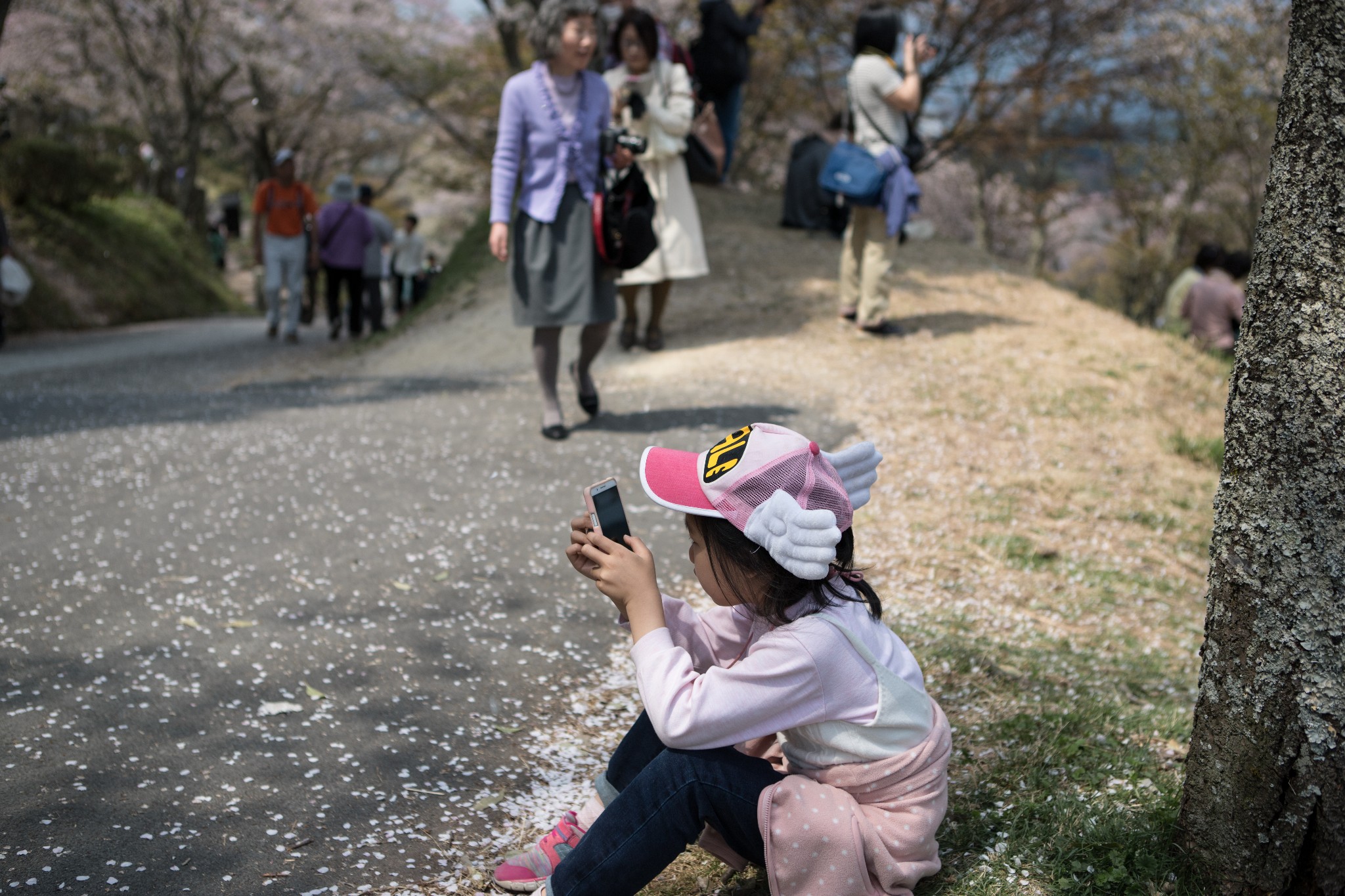 和歌山市自助遊攻略