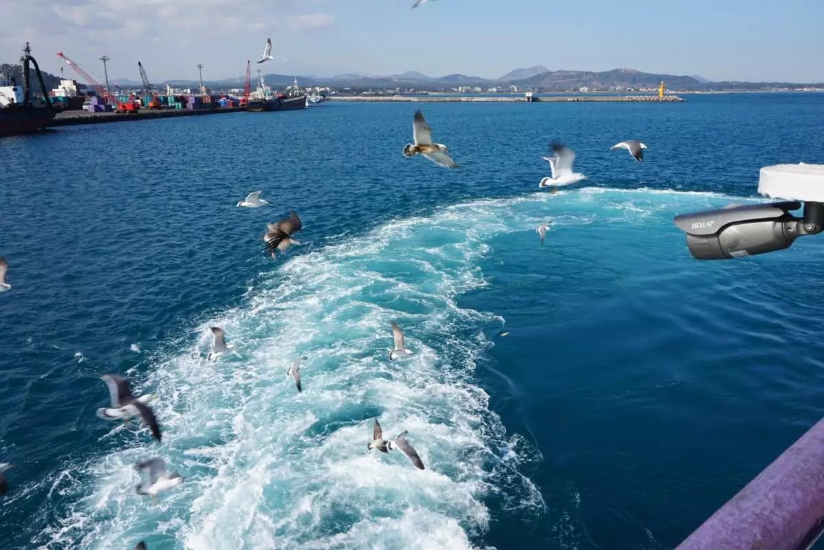 济州岛人均消费_韩国济州岛