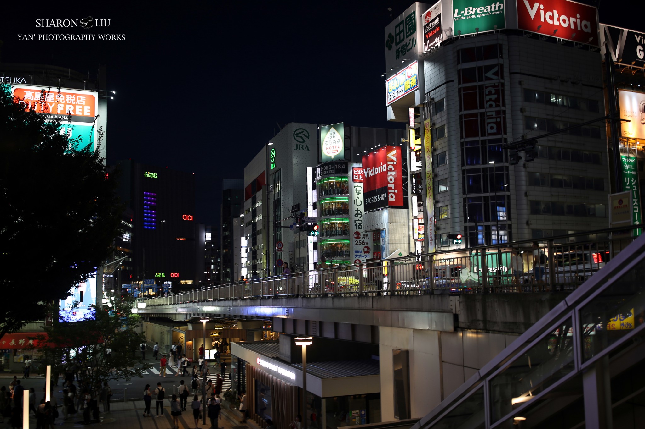 東京自助遊攻略