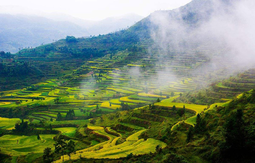 浙江永嘉县茗岙梯田2日自驾导航路线