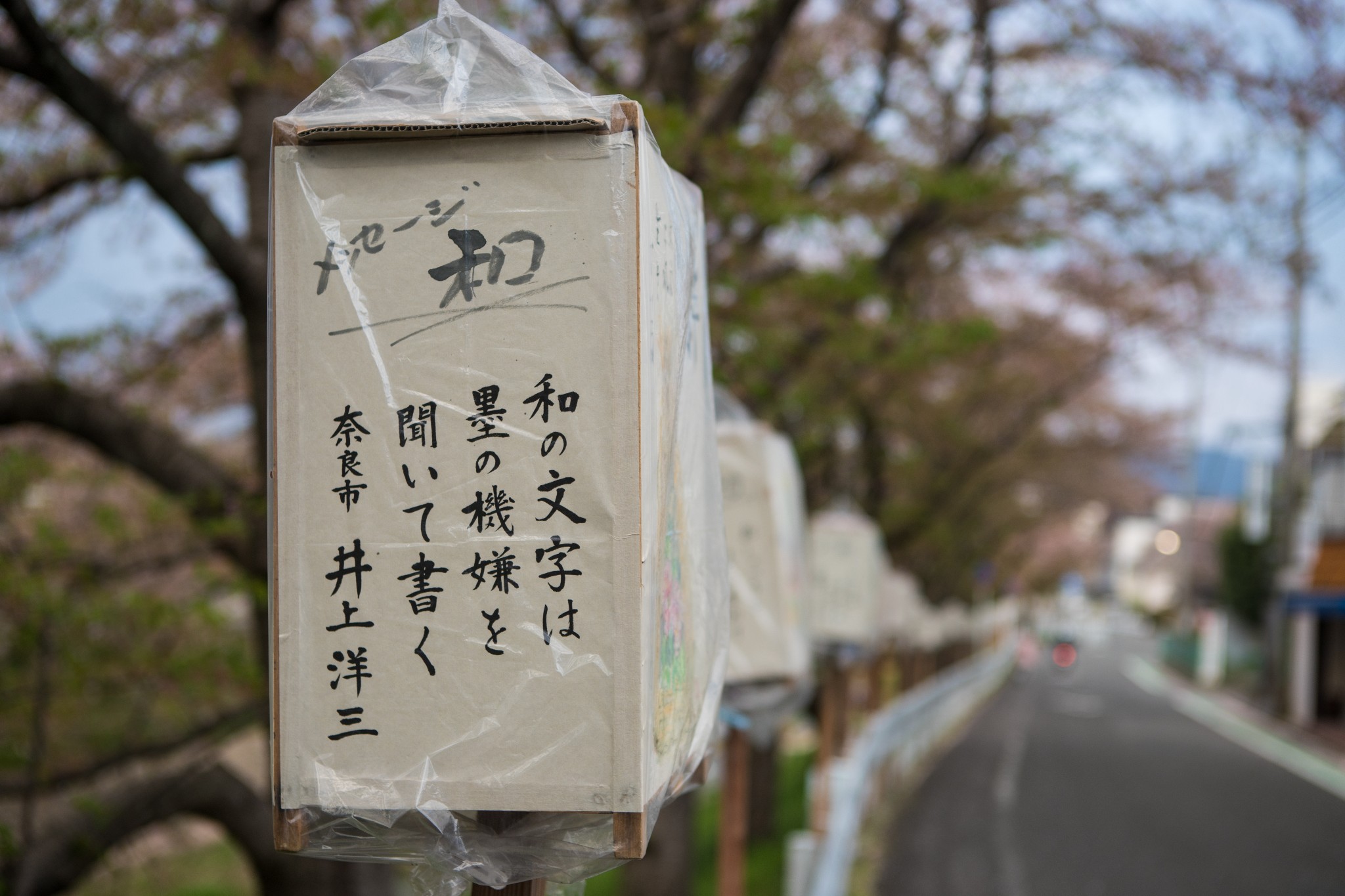 和歌山市自助遊攻略