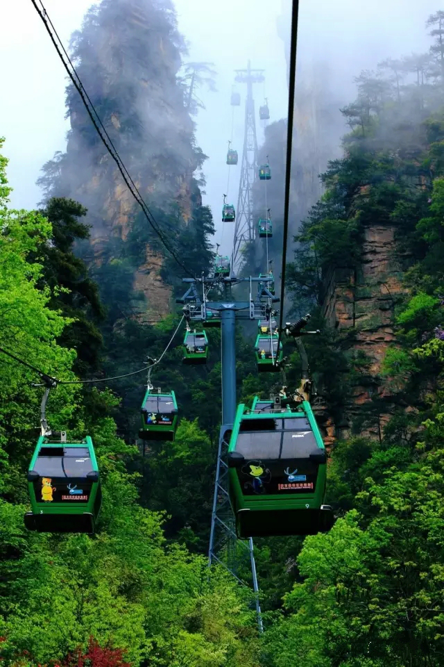 张家界核心景区武陵源 张家界国家森林公园 黄石寨索道 成人票(不上