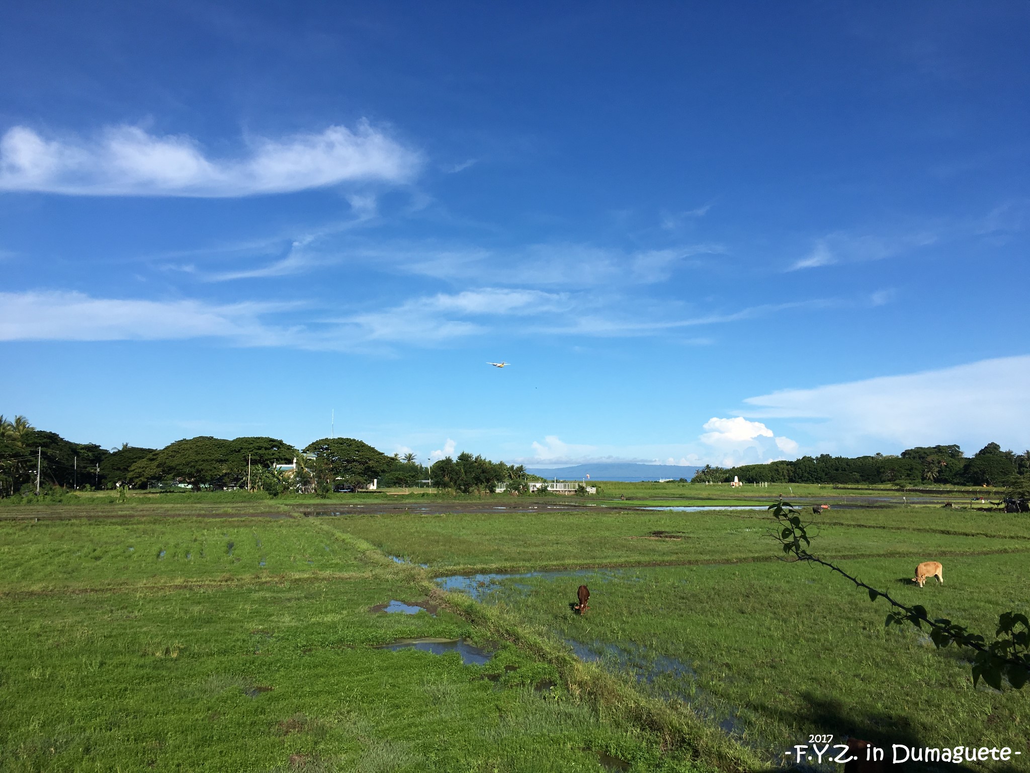 杜馬蓋地自助遊攻略