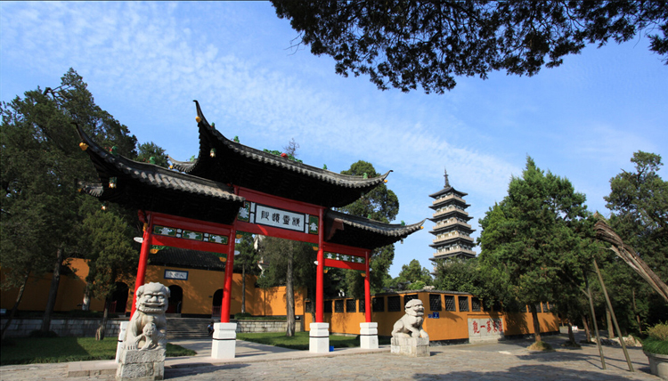 残花什么成语_宿伞之魂残花泪图片(3)