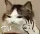 捷克自助遊攻略