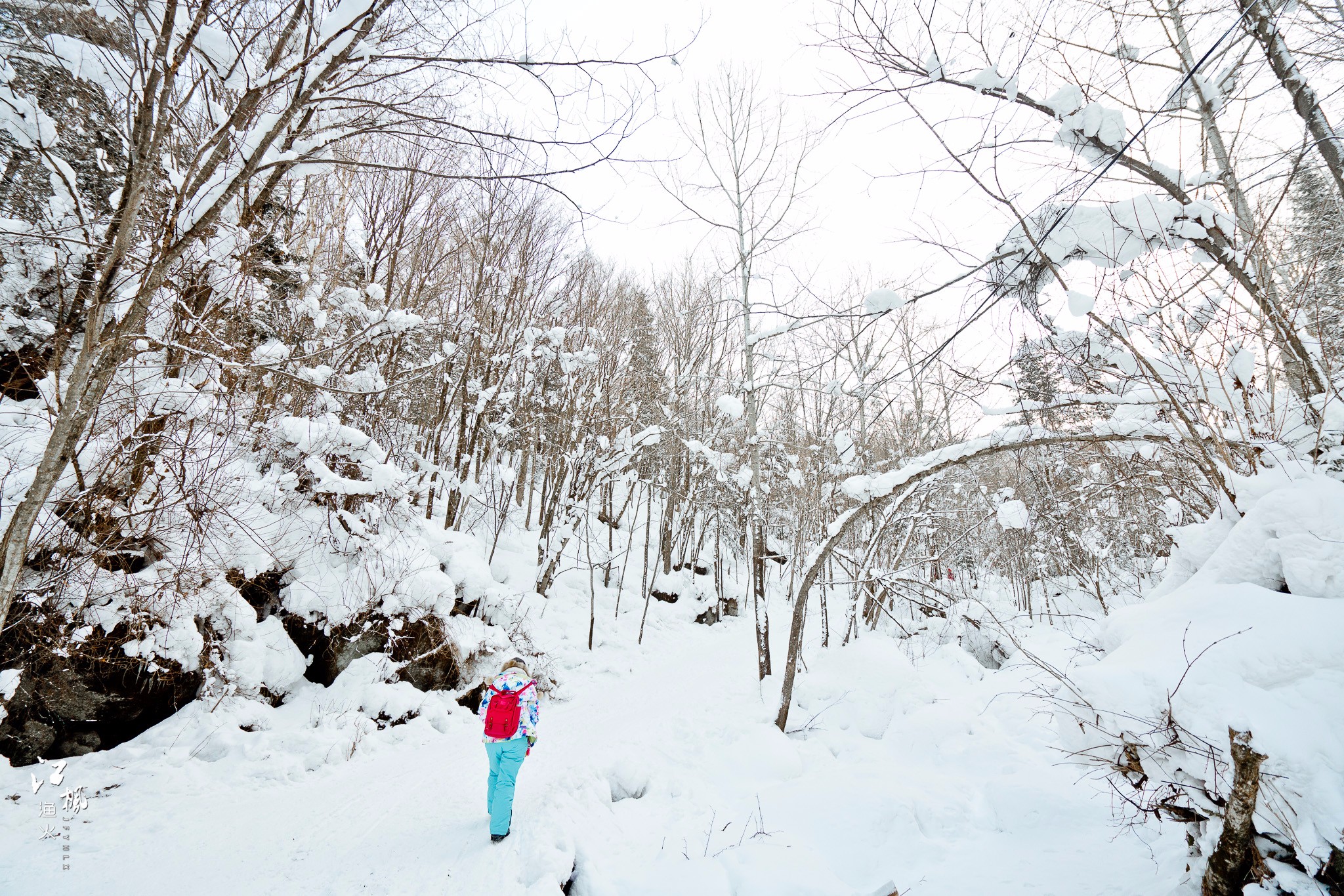 雪鄉自助遊攻略