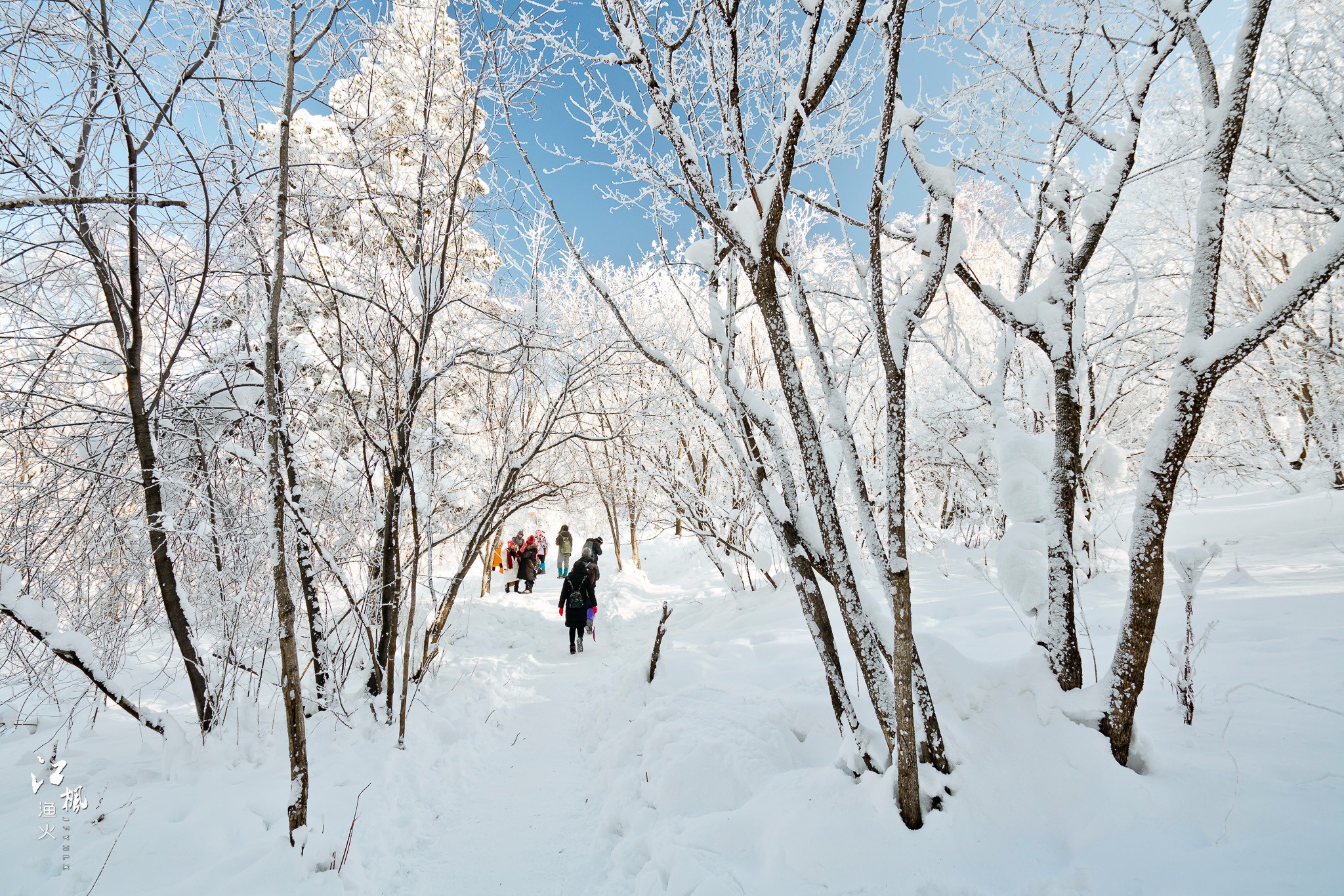 雪鄉自助遊攻略