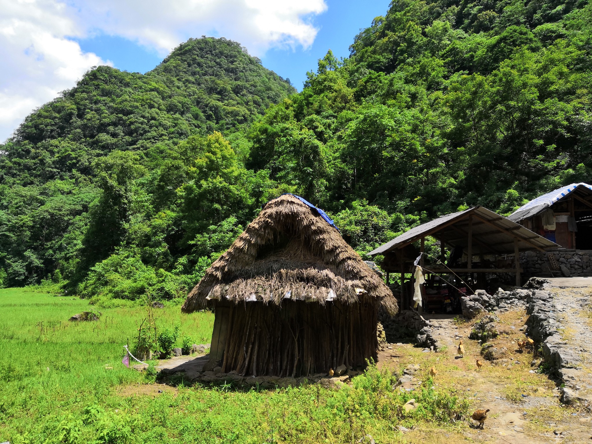 荔波自助遊攻略