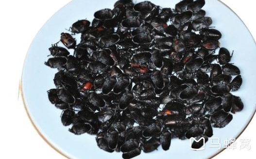 有哪些你真的接受不了的云南"美食"?_马蜂窝问答 - 马蜂窝