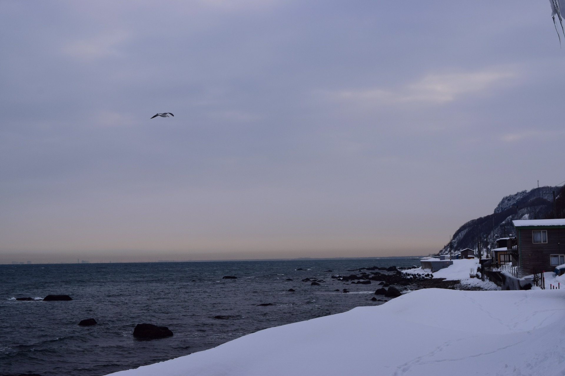 津轻海峡冬景色简谱_津轻海峡冬景色 日(2)