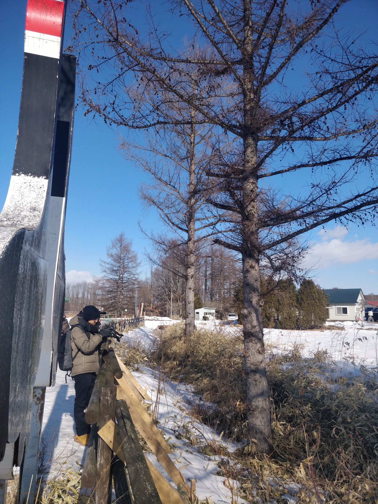 札幌自助遊攻略